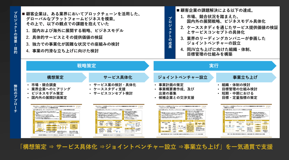 図 2：ブロックチェーンを活用した事業例